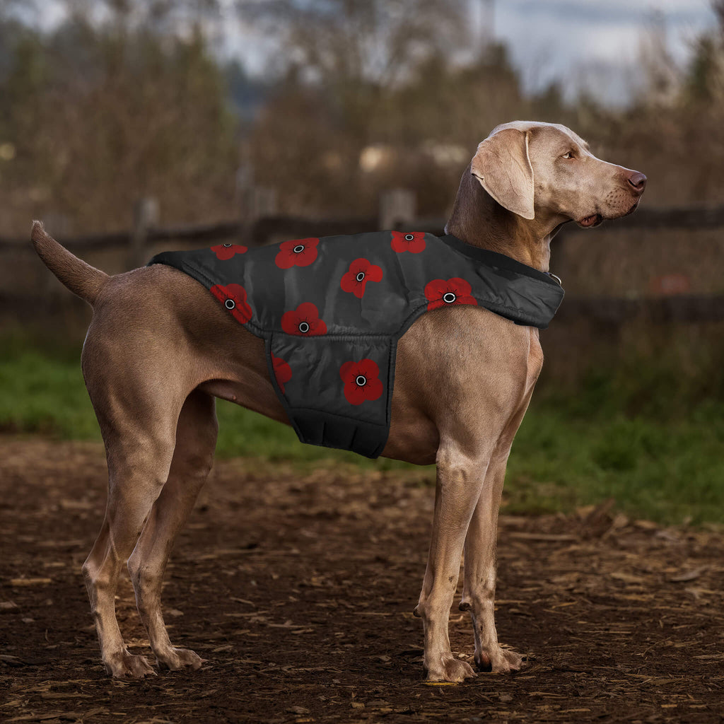 Poppies Dog Coat | Poppyscotland
